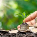 Alternance Chef de Projets Marketing chez COLLECTAL